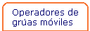 Operadores de gruas moviles